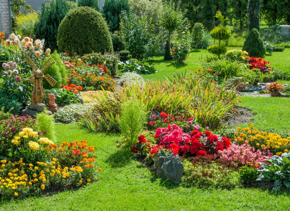 jardin (1)