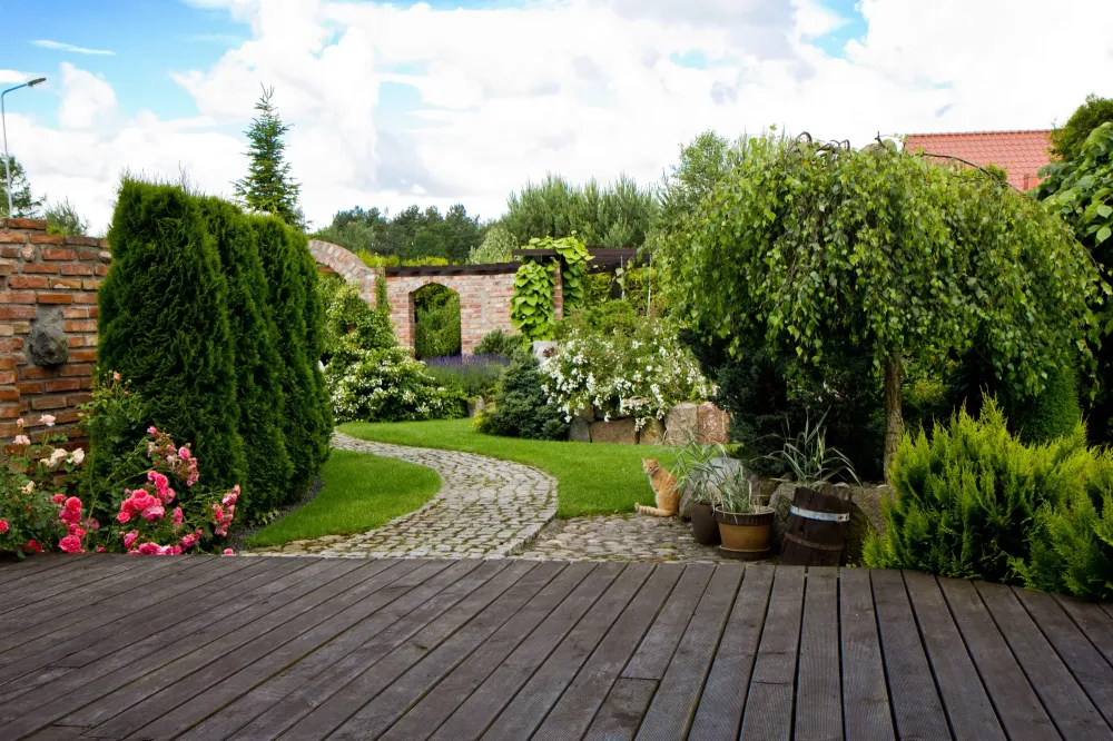 jardin (3)