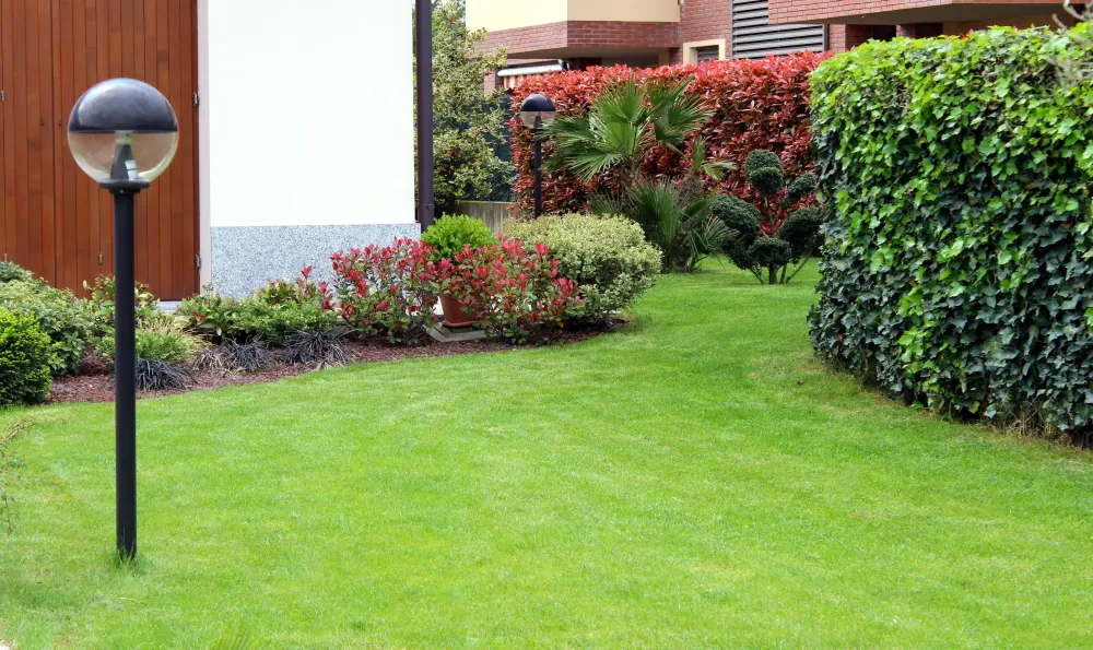 jardin (2)